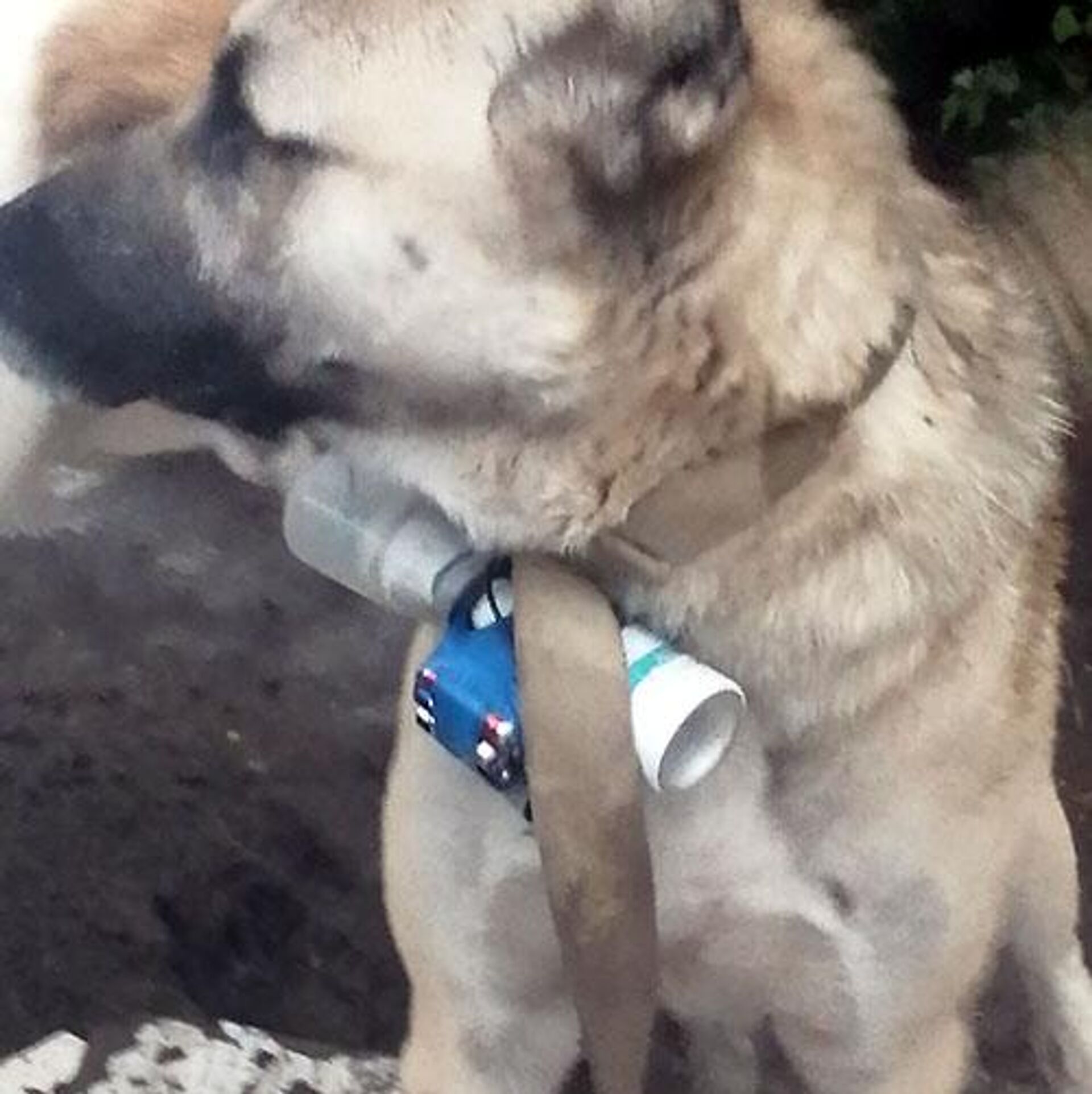 458517621_0_0_501_501_1920x0_80_0_0_eab88fe1bee2a3805762670f430bd8b1