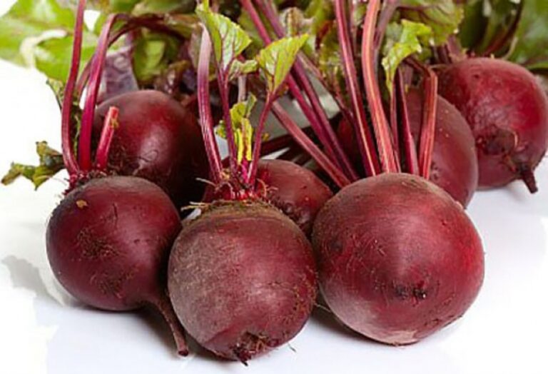 15465898215128337423_1200x630