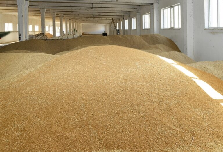 15613664304775352879_1200x630