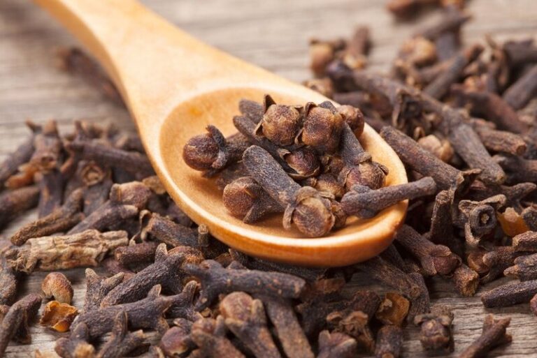 1620977389_80-p-gvozdichnoe-derevo-foto-98