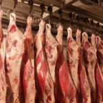 http_95.86.135.60_bpictures_picture167886