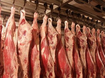 http_95.86.135.60_bpictures_picture167886