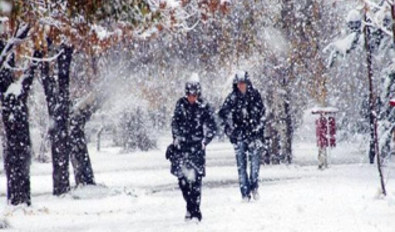 1420114299_qarl-hava