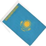 61QwBdTYQkL._AC_UF350,350_QL80_