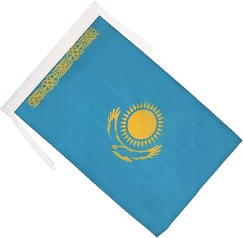 61QwBdTYQkL._AC_UF350,350_QL80_