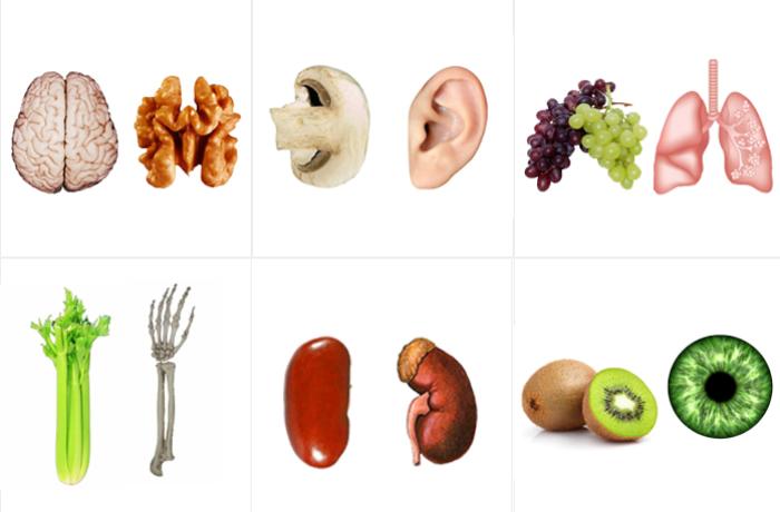 meyve-orqan-xeber-sekil